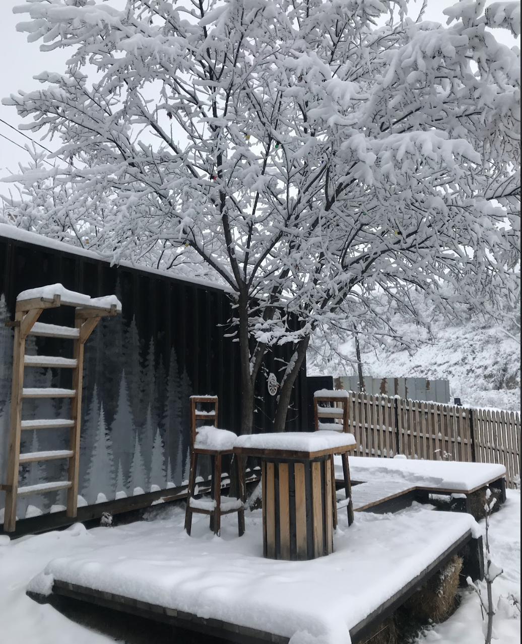 Снимок экрана 2025-11-10 в 13.20.07